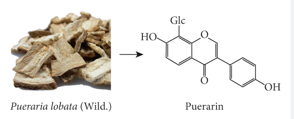 Puerarin sources.png